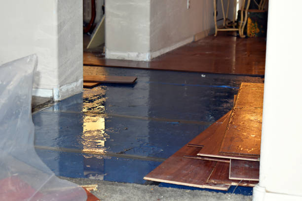 Professional Basement Flood Cleanup technician working in Bloomfield, NY